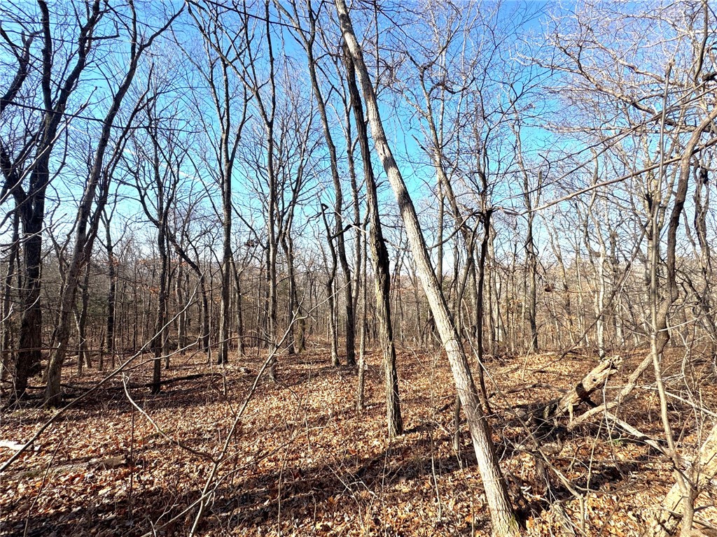 Posy Mountain Ranch Unit 7 Rurban - Land