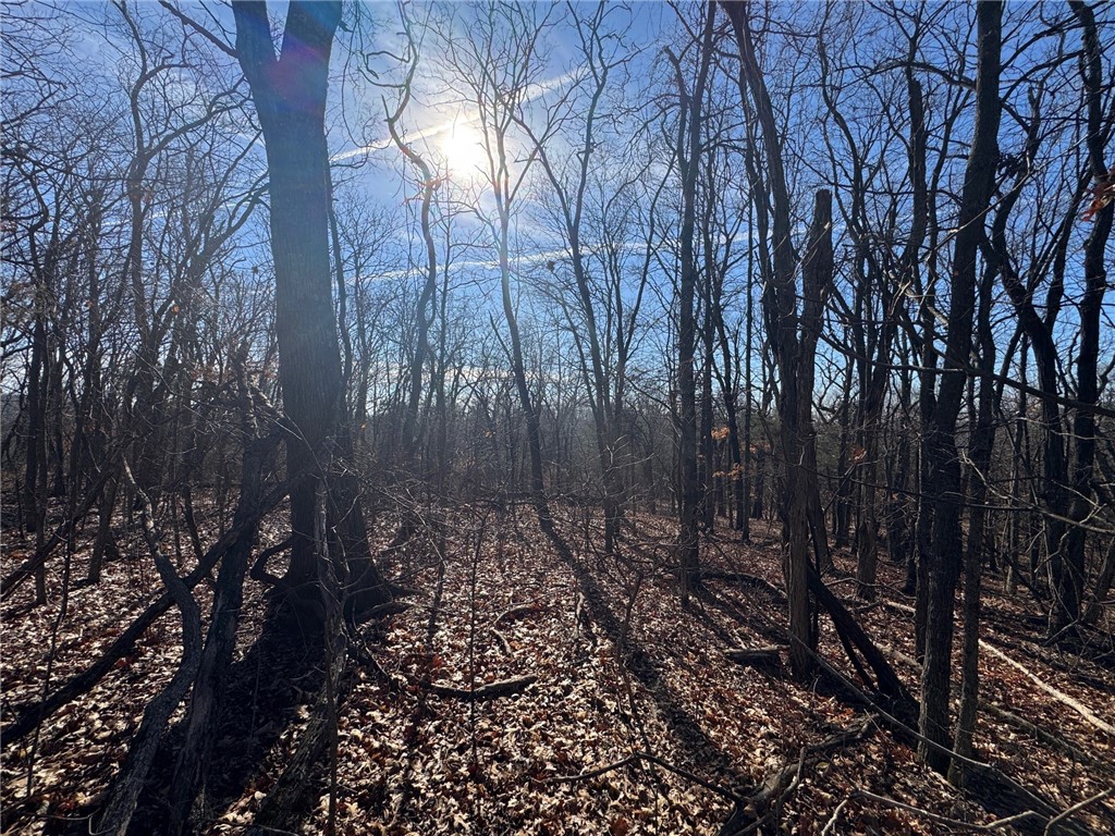 Posy Mountain Ranch Unit 7 Rurban - Land