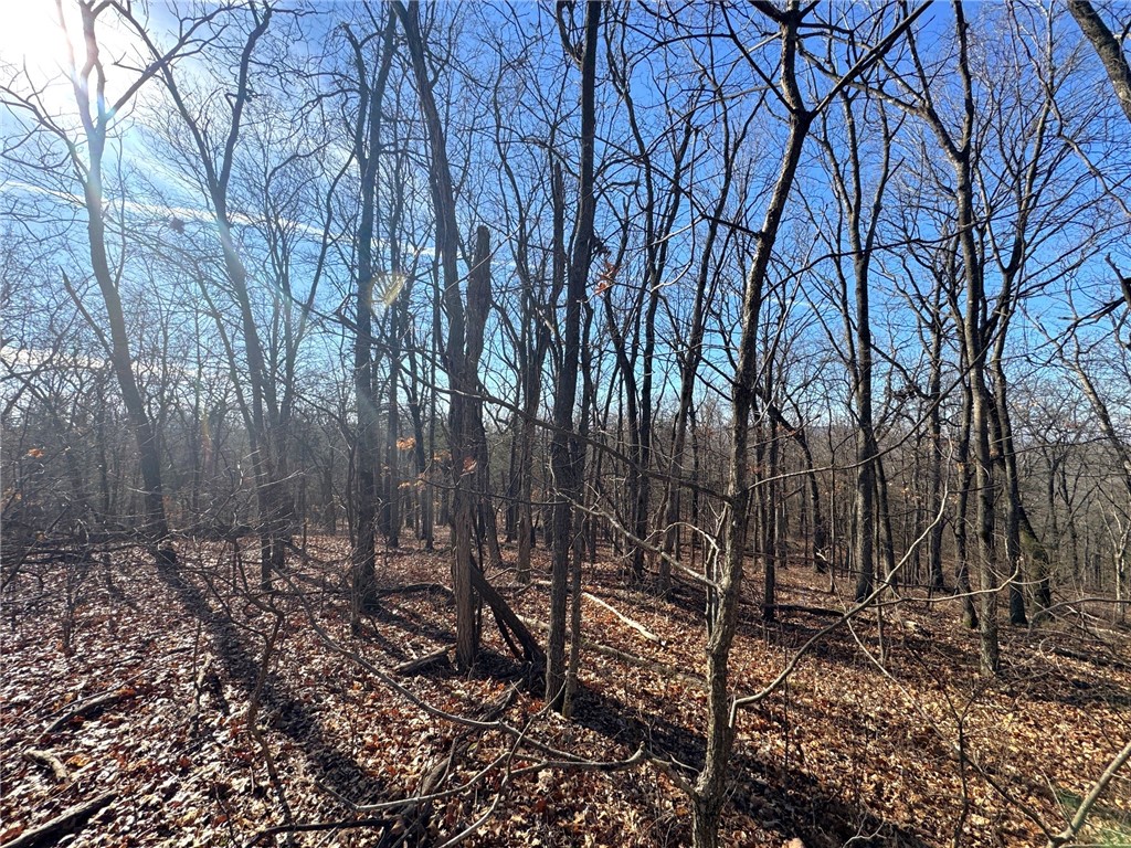 Posy Mountain Ranch Unit 7 Rurban - Land