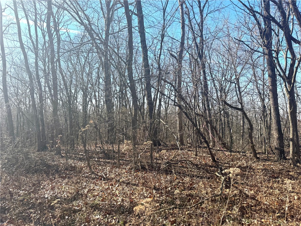 Posy Mountain Ranch Unit 7 Rurban - Land