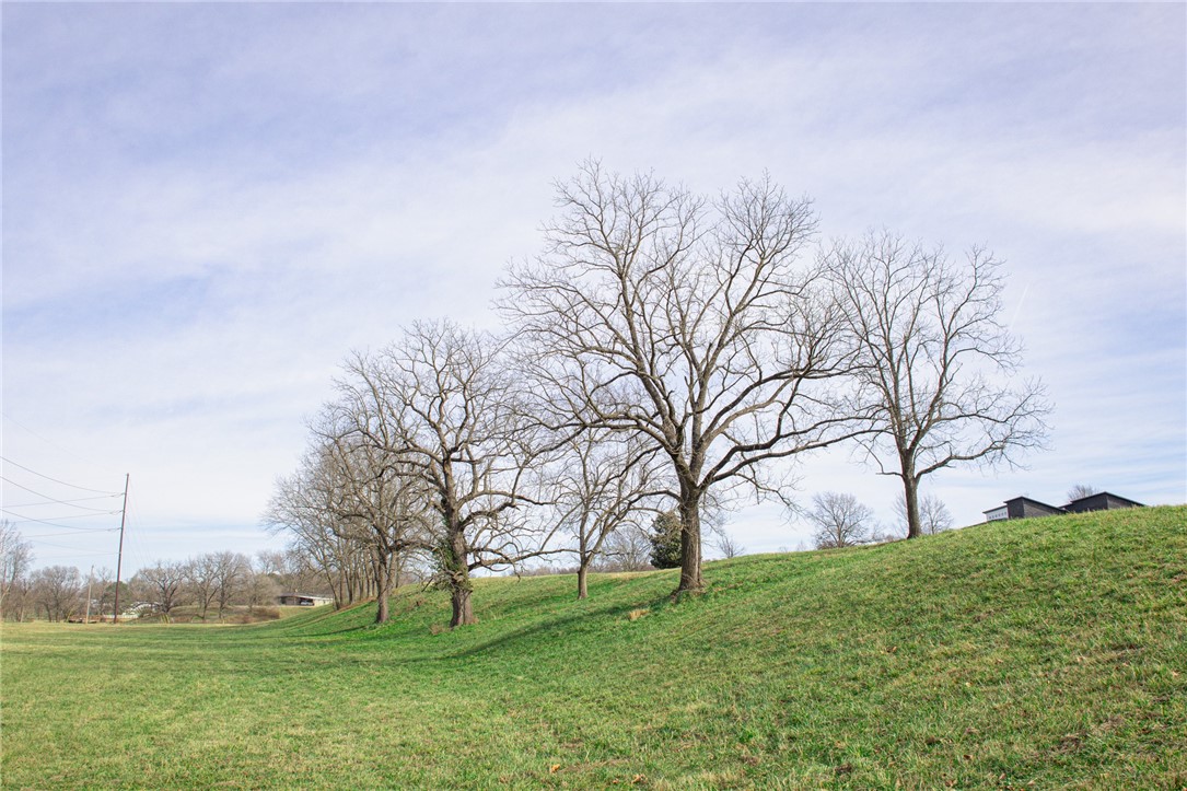 Tontitown Outlots 2000 Annex - Land