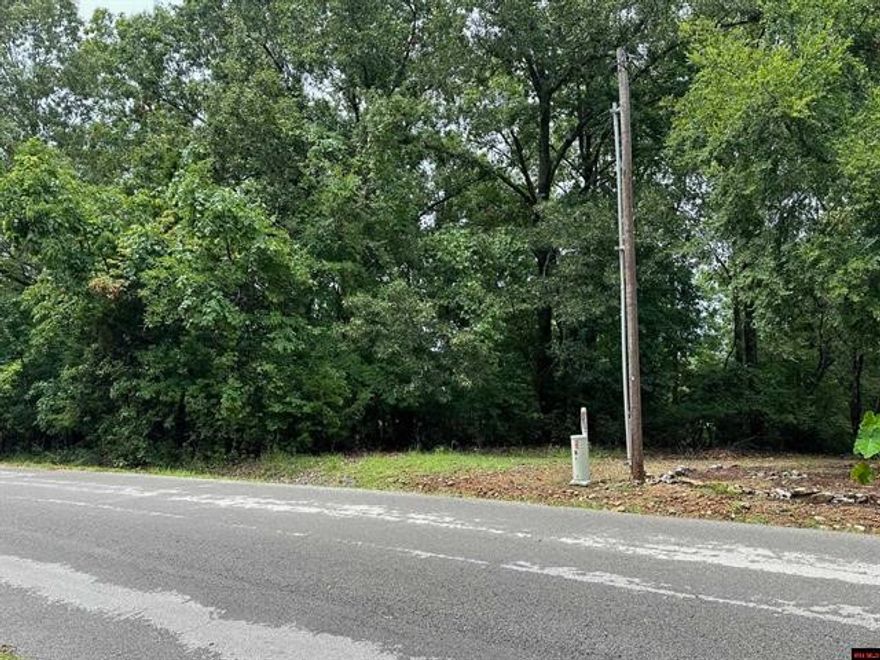 Great location to build your dream home close to Bull Shoals Lake and the famous White River! This quarter acre lot m/l is located on paved road that fronts two streets great for easy access and privacy. Lot is in Bull Shoals with city utilities available including highspeed internet. Public Lake & river access are only two minutes away & lake access within subdivision as well. Do not let this one get away.