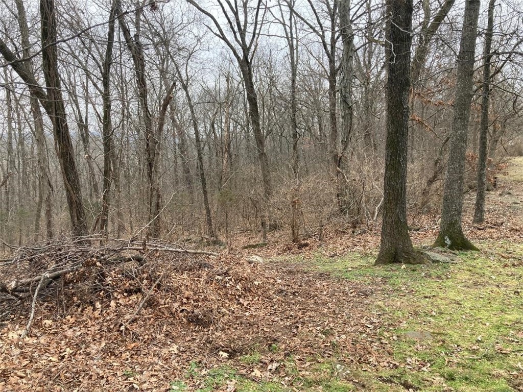 Greenland Outlots - Land