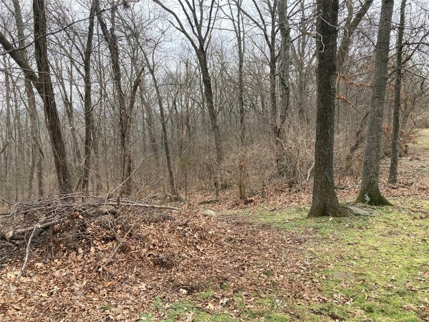 Here's your opportunity to own 9.37 +/- amazing acres perfectly positioned within Washington County Arkansas in Greenland. With Coveted easy access to Interstate 49 or hwy 71 will make short work of any commute in NW Arkansas, this remarkable property delivers a setting that feels worlds away while remaining just minutes from modern conveniences, including nearby Fayetteville Airport (small regional airport with private plane access). This land is ready to be developed and features a beautiful mix of hardwoods, situated high on one side of a bowl of large hills making up the area with potential for amazing views. The property is less than 10 minutes from Fayetteville and only a short highway or interstate commute to Bentonville or other any other NW Arkansas areas. Properties of this size, location and commute access are increasingly hard to find. If you've been searching for a one-of-a-kind property that combines convenience, natural beauty, abundant wildlife and scenic vistas, this is it. Come take a look today!