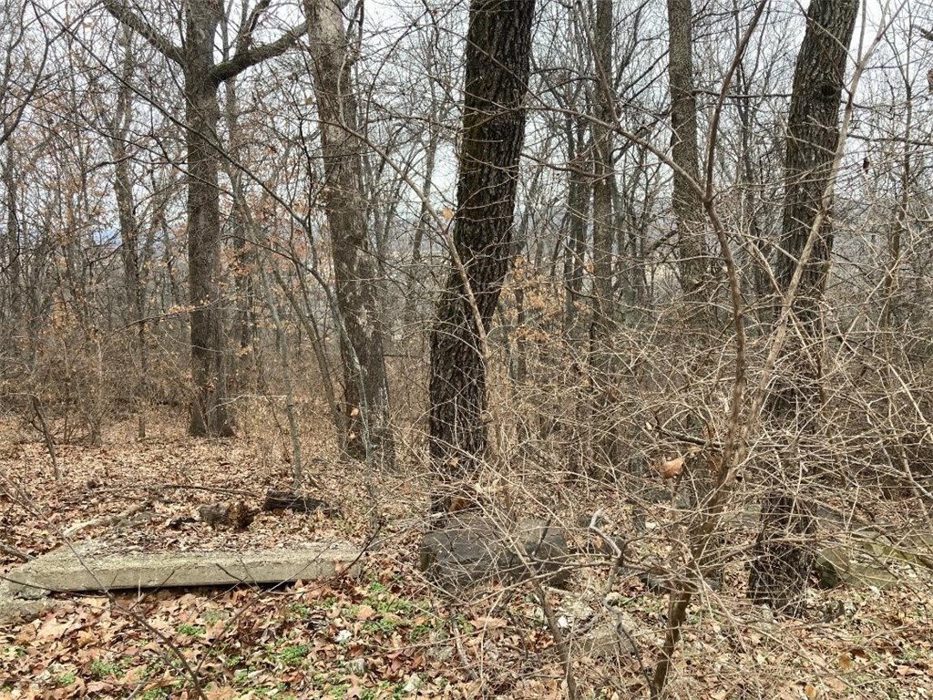 Greenland Outlots - Land