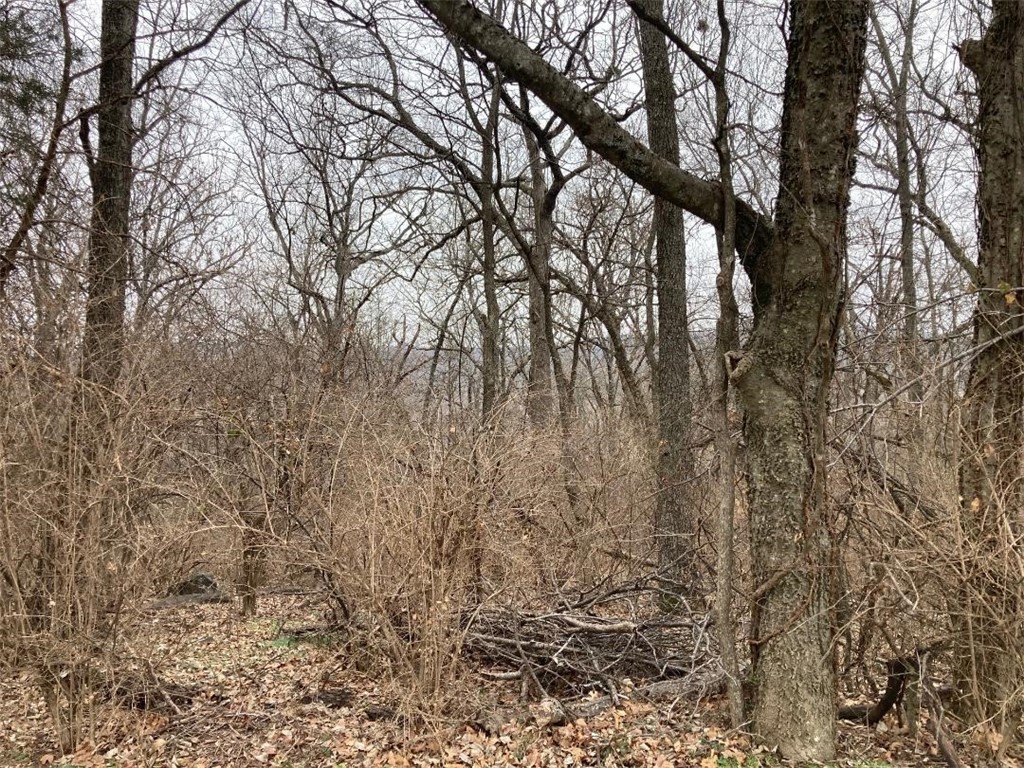 Greenland Outlots - Land