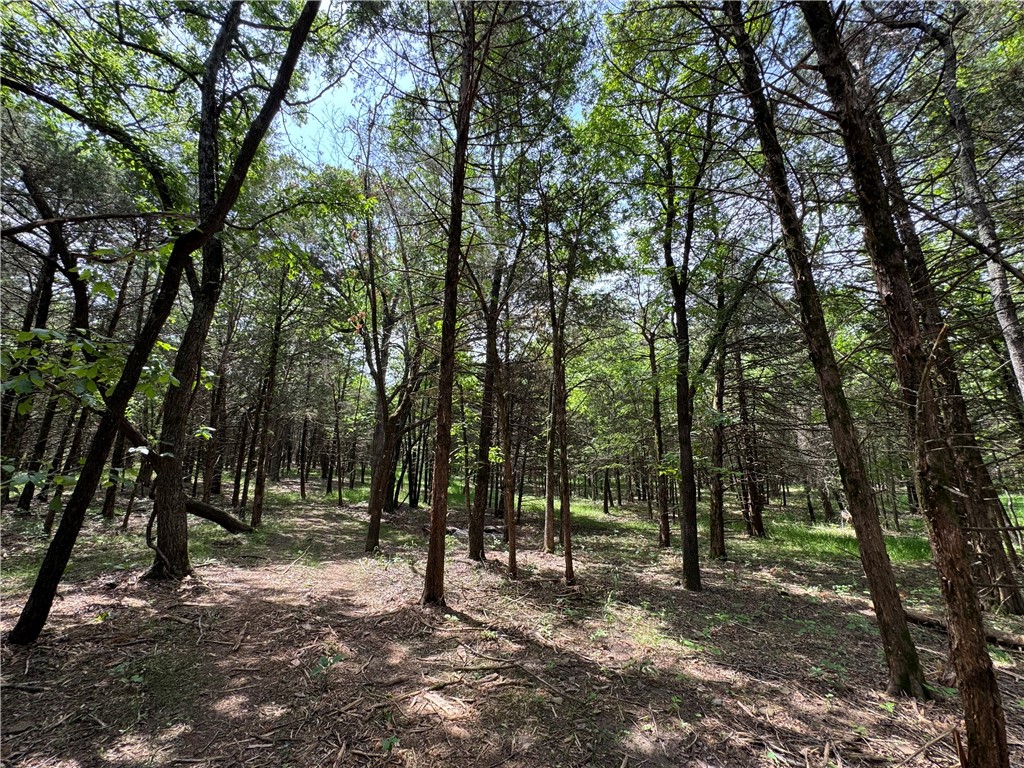Escape to the peace and quiet of nature with this beautiful wooded propertyāperfect for your dream
home or a private hunting cabin. Nestled in a serene setting surrounded by mature trees and wildlife, this land offers the ideal backdrop for a weekend getaway, hunting retreat, or full-time country living. With plenty of space to roam, youāll enjoy privacy, natural beauty, and endless possibilities to create your own retreat in the woods. Whether youāre looking to build a custom home, set up a hunting lodge, or simply enjoy the great outdoors, this property provides the perfect canvas