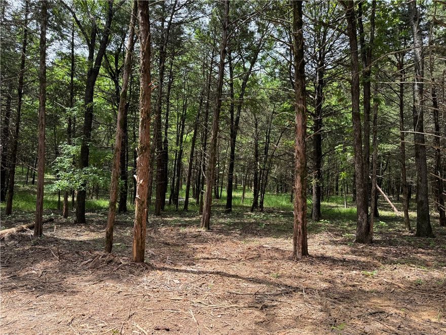 Escape to the peace and quiet of nature with this beautiful wooded property—perfect for your dream
home or a private hunting cabin. Nestled in a serene setting surrounded by mature trees and wildlife, this land offers the ideal backdrop for a weekend getaway, hunting retreat, or full-time country living. With plenty of space to roam, you’ll enjoy privacy, natural beauty, and endless possibilities to create your own retreat in the woods. Whether you’re looking to build a custom home, set up a hunting lodge, or simply enjoy the great outdoors, this property provides the perfect canvas