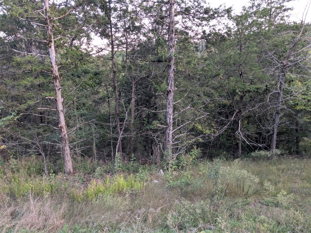 Unit 5 Holiday Island - Land