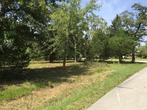 Nice lot in a great neighborhood in Diamond City. Very close to lake and boat dock. Joins gov't corp lines.