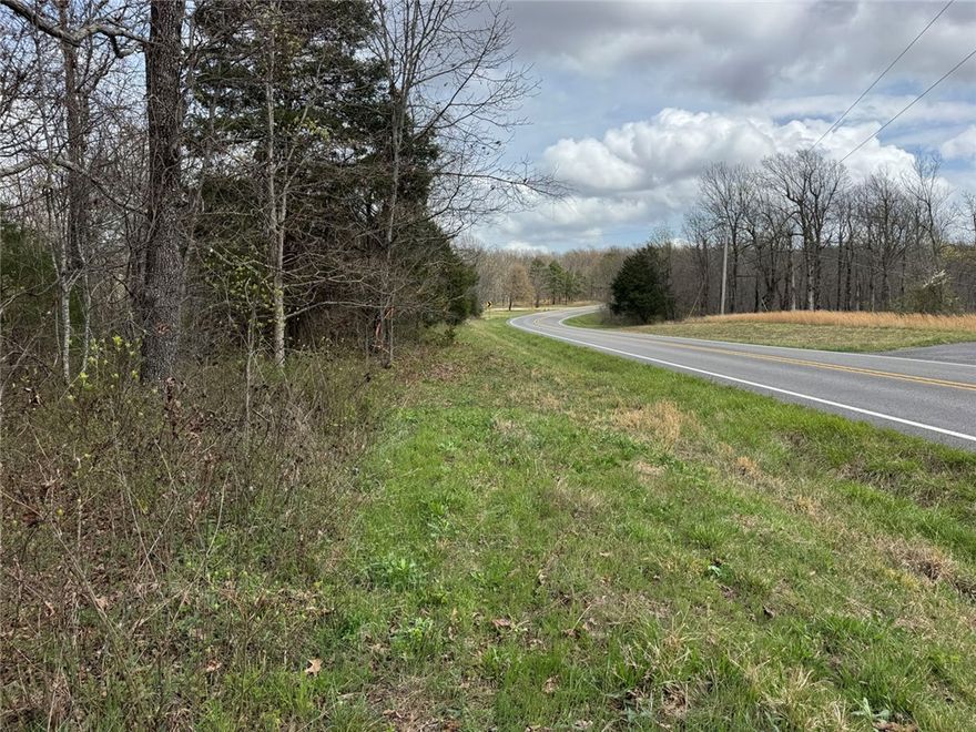 This 2.8-acre tract offers an excellent opportunity to own property directly on Hwy 7 in Pelsor, Arkansas. With paved highway frontage and bordering National Forest, this parcel is well-suited for a cabin, home, or recreational basecamp in the Ozarks.

Located just a short drive from Jasper and the Buffalo National River, the property provides convenient access to some of the area’s best hiking, floating, and outdoor recreation. Surrounded by public land, trails, and abundant wildlife, it’s an ideal spot for those looking to enjoy both relaxation and adventure.

Utilities are readily available, with access to power and water nearby, making development straightforward. Whether you’re looking to build, invest, or secure a getaway property in a highly desirable area, this tract combines location, accessibility, and natural beauty.