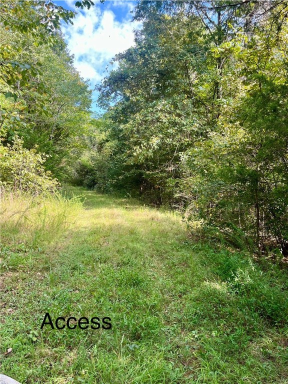 Discover your own private retreat on this 40-acre tract of raw land, perfectly suited for outdoor enthusiasts and those seeking a peaceful escape. Featuring gently rolling slopes with a mixture of hardwoods and open clearings, this property offers excellent hunting opportunities for deer, hog, turkey, and bear. With multiple cleared spots ideal for a cabin or custom home, youāll have your choice of building sites to bring your vision to life. Whether youāre looking to build your dream homestead, a weekend getaway, or simply invest in recreational land, this property delivers.
Additional features include a deeded access for ingress/egress and an electrical easement prior to closing making future development even more convenient.
Secluded yet accessible, this is a rare opportunity to own a beautiful piece of land with unmatched natural beauty and endless potential. Priced to sell!!