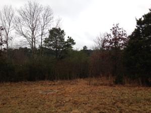 Build your new home on this 2.37 acre lot next to Russellville Country Club.