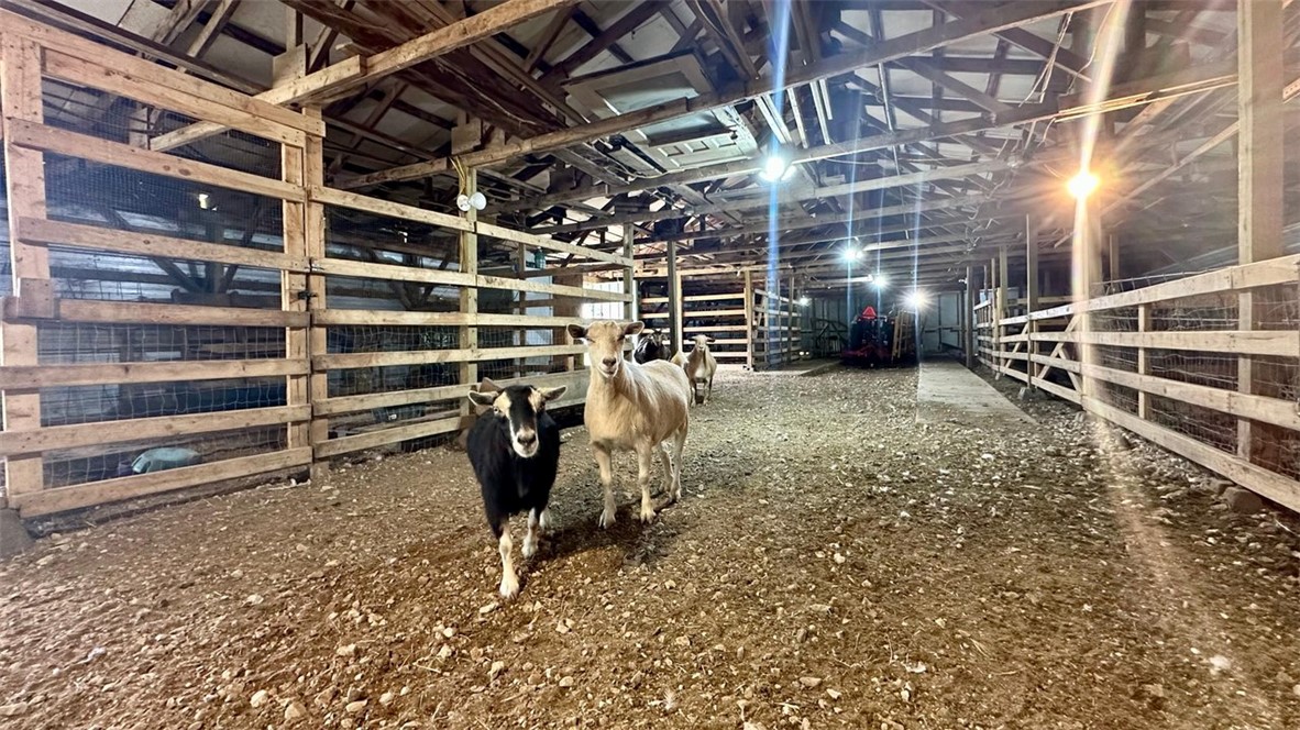 08-20-29-RURAL - Farm