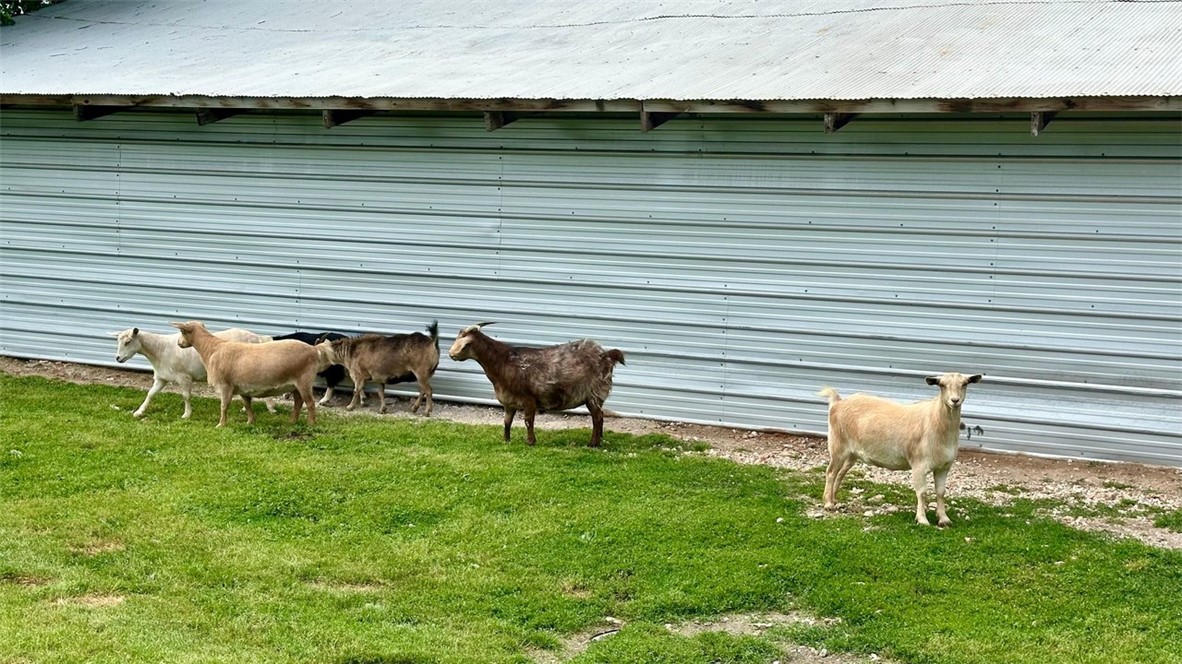 08-20-29-RURAL - Farm