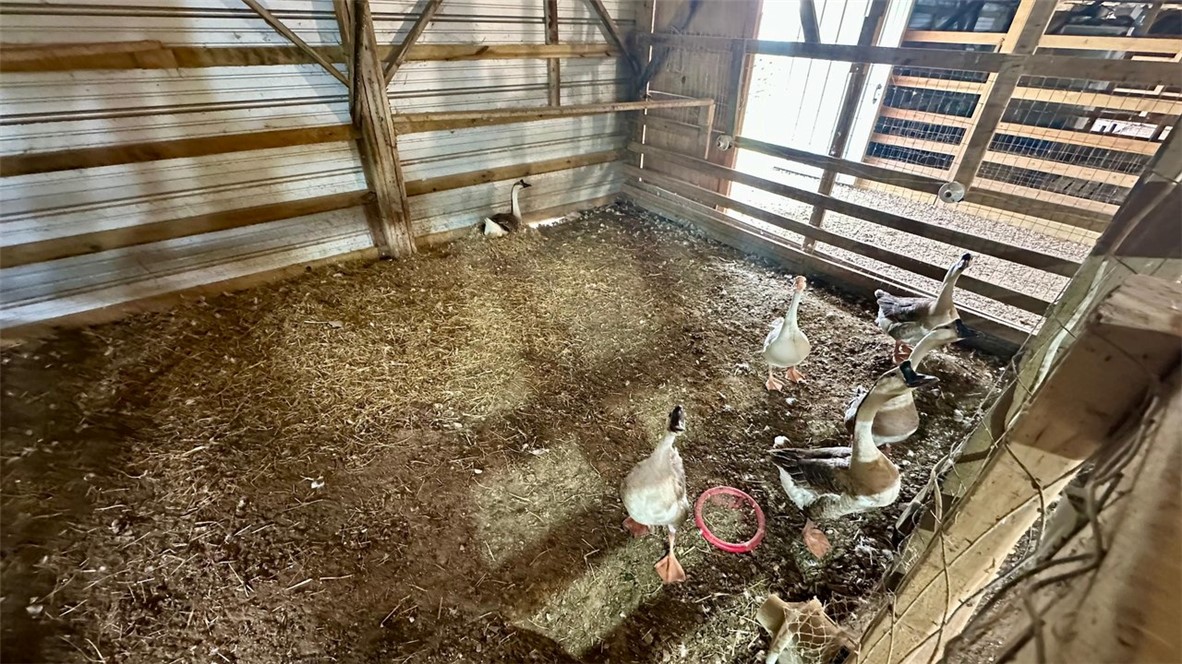 08-20-29-RURAL - Farm