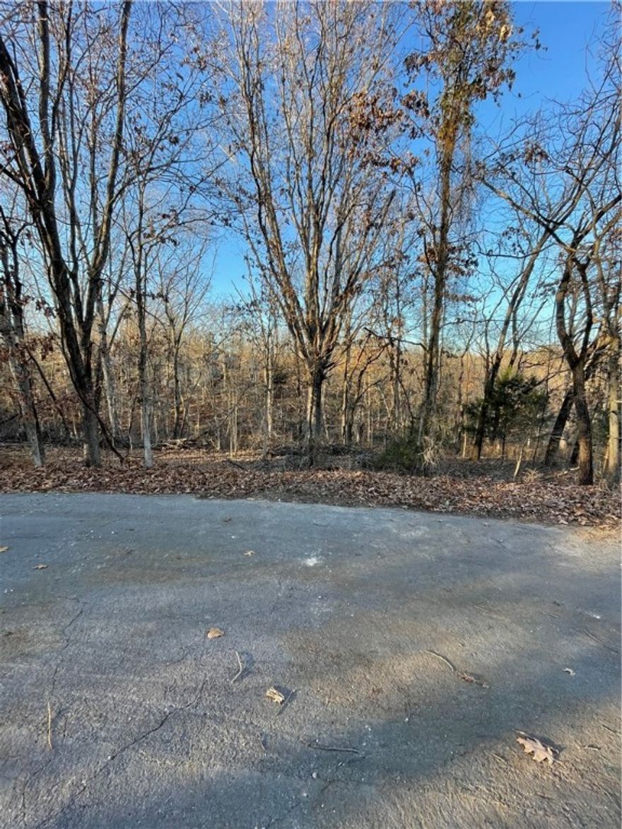 Nice wooded lot on .46 acres.