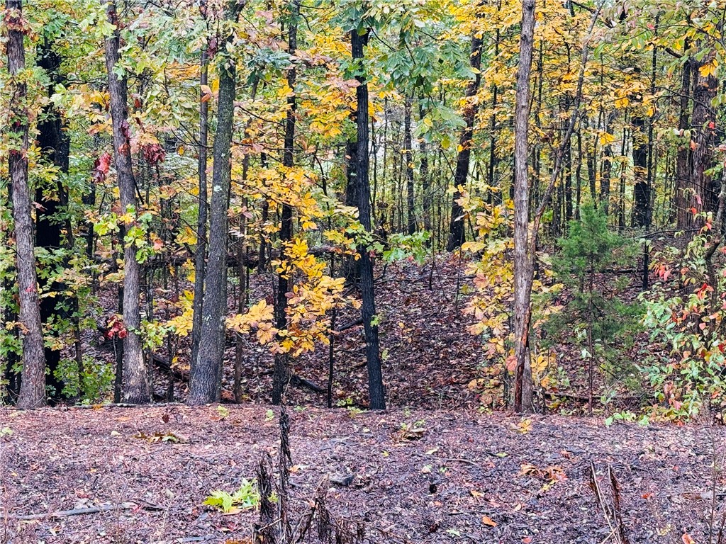 Longview Sub Bvv - Land