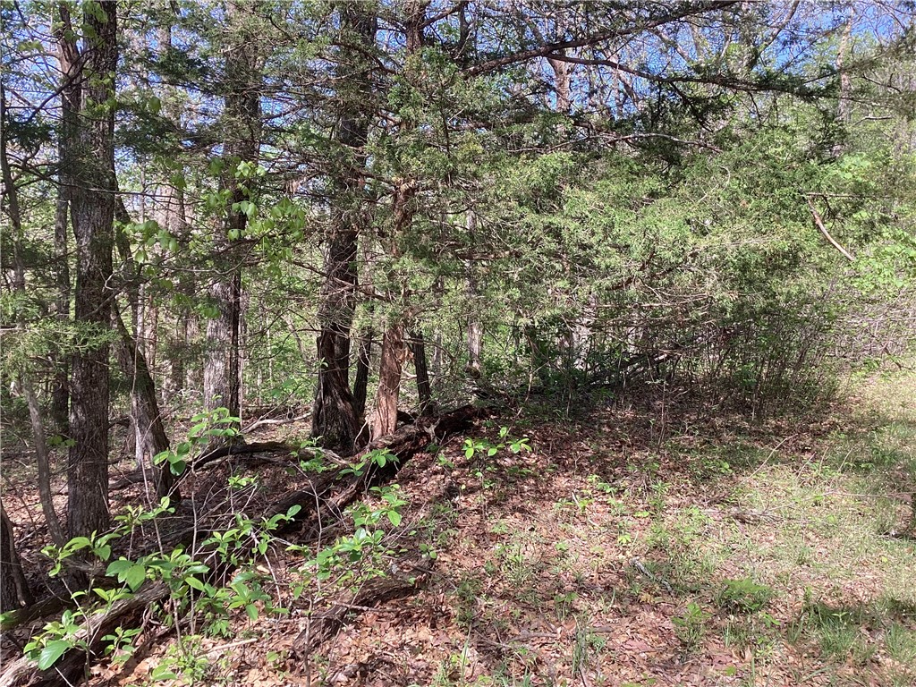 Great lots in the country off Apaloosa and Arabian! Hardwoods for your wood stove and country life for your peace of mind!