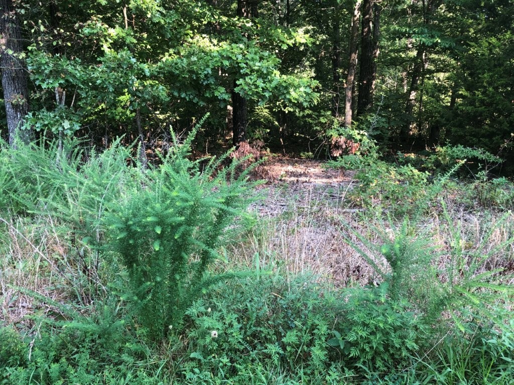 0.37(+/-) acre good buildable lot in area of nice homes with more under construction. Slope is away from road, ideal for walkout.