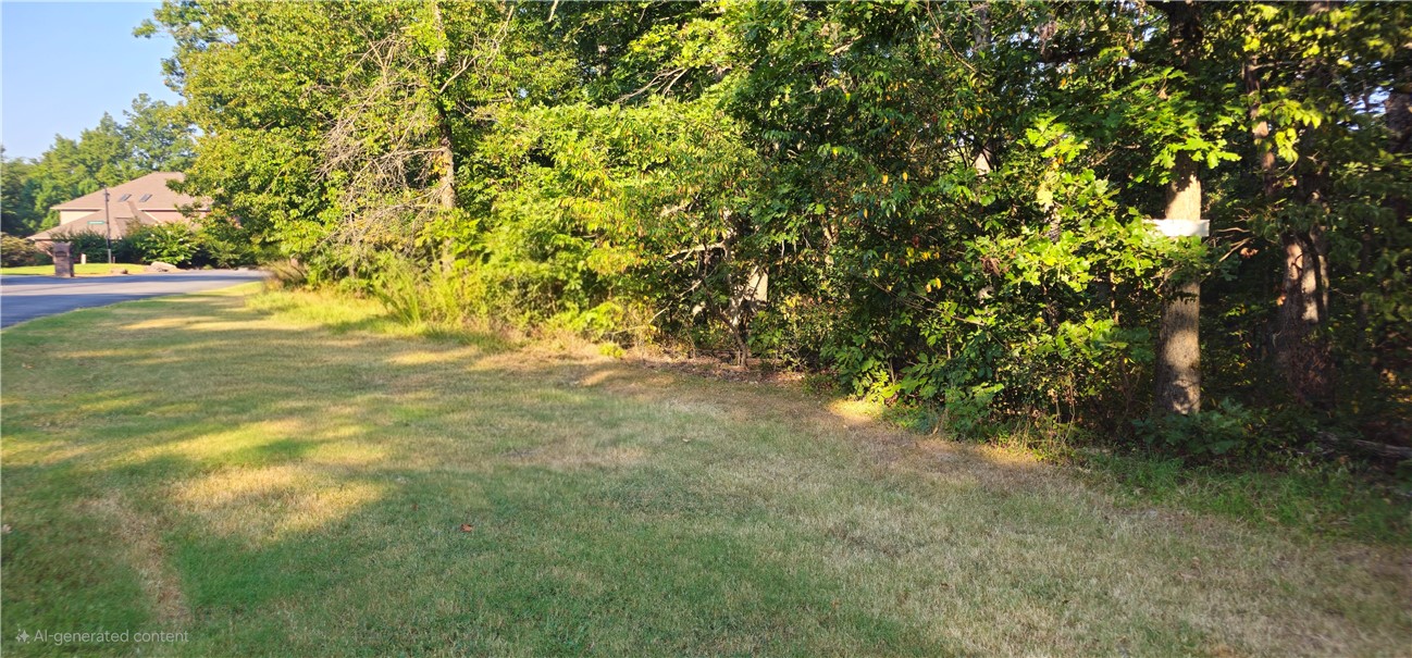 Build your dream home on this 1.22-acre residential lot in the sought-after Stone Ridge Estates community. With gently rolling terrain and mature trees, this property offers privacy, natural beauty, and the perfect canvas for a custom build. Utilities are available at the street, and the neighborhood's spacious lay out ensures a serene, upscale feel.