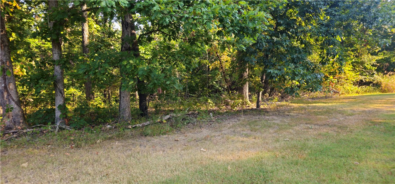 Build your dream home on this 1.22-acre residential lot in the sought-after Stone Ridge Estates community. With gently rolling terrain and mature trees, this property offers privacy, natural beauty, and the perfect canvas for a custom build. Utilities are available at the street, and the neighborhood's spacious lay out ensures a serene, upscale feel.