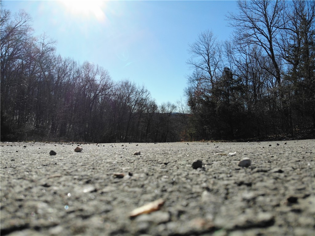 Located a mere 20 minutes from the University of Arkansas this property boast eight lots averaging 3 to 4 acres each. owner is willing to sell as a whole. The land features views of the Boston Mountains. The land offers winding slopes with large rock facings, and the area boasts an abundance of wildlife. Close to downtown Fayeteville, making it easy to commute to popular dining, shopping, and entertainment areas. The lots have water and electric at the street. Completely paved to the lots with a cul de sac. Please contact agent Savanna Spear with any questions.