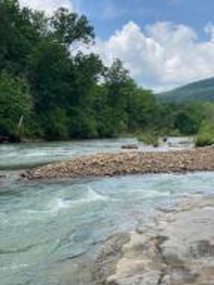 PINEY CREEK FRONTAGE. Almost 1/2 mile of Piney Creek frontage, swimming holes, fishing holes, teeming with rock bass and bream, nesting  wood ducks, beavers and otters. About 80 acres of prime pastureland covered with large clumps of white top clover that attracts wild turkey and whitetail deer. The property is just begging for some quail habitat. The owner has been using an old settlers house located on the property for a hunting camp. The Ozark National Forest adjoins the property on two sides and the Forest Service has recently surveyed and clearly marked the property boundaries. Spradley Creek traverses the property creating a series of beautiful waterfalls. Also formed by this creek is a fantastically carved rock cliff. The Limestone  Road to the property is in excellent condition.