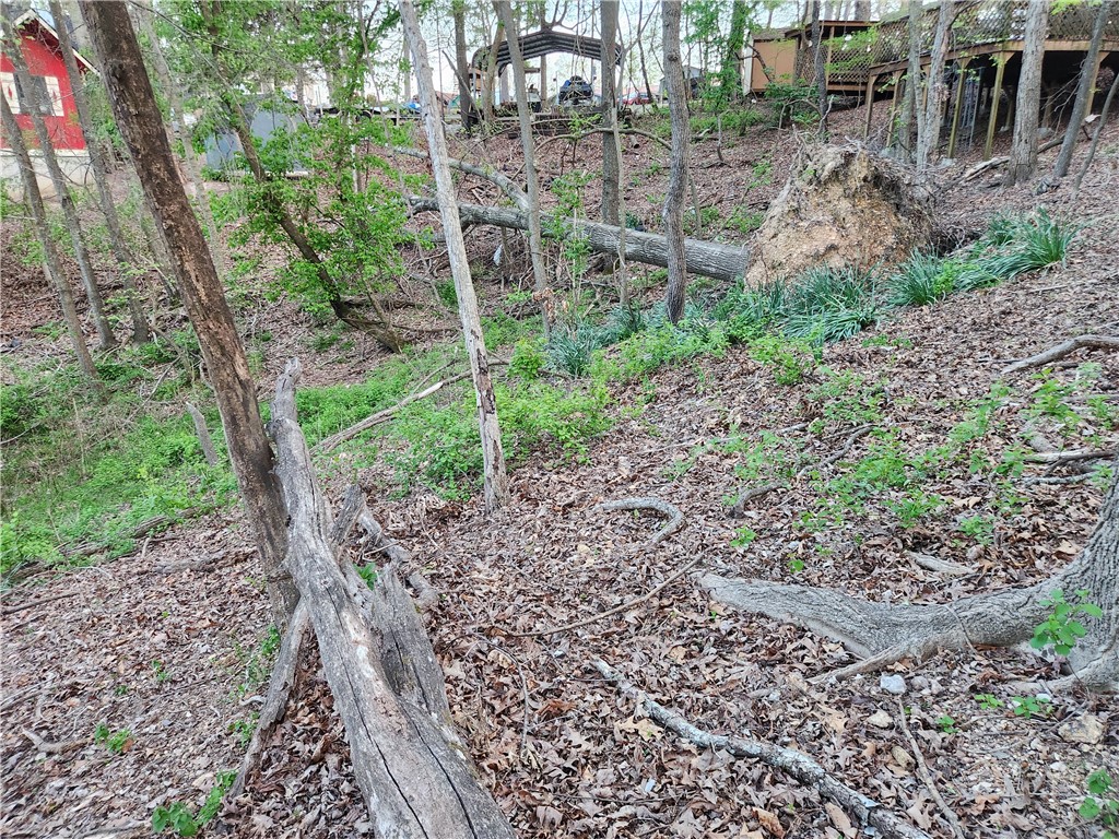 Beaver Shores Unit 4 Rurban - Land