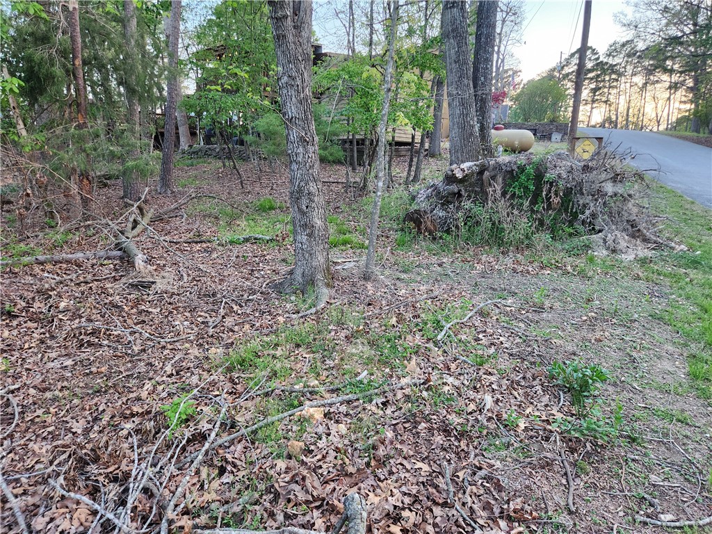 Beaver Shores Unit 4 Rurban - Land