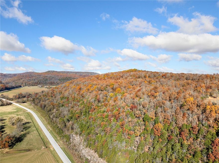 Raw land for the taking. 78 Acres of untouched land in the Ozarks. Come one, come all. Spectacular views to be had by all. Take the time to schedule a showing of the property and see what you have been missing.