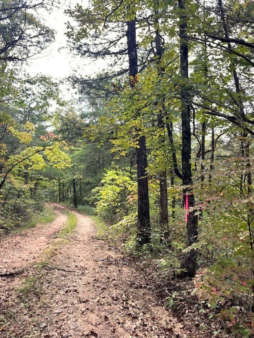 This property has limitless potential for the nature/seclusion enthusiast. The bulk of the property is flat to rolling and wooded, and it borders a cliff with a creek (Cove Creek)! And near that same end, there is a small cave. When it rains, you can enjoy the waterfall. 
Direct county road access avoiding the easement hassle.
If you have been searching for a property to build a home that is secluded but also not too far from town, this could be the one! 10.5  acres with no restrictions! Whether it's a dream home or a get-away cabin in nature, this is the perfect spot.
Despite its secluded feel, this property is located approximately 20 miles from Harrison, and in close proximity to Jasper and the National Buffalo River!
This property checks both boxes, country living with a convenient location.