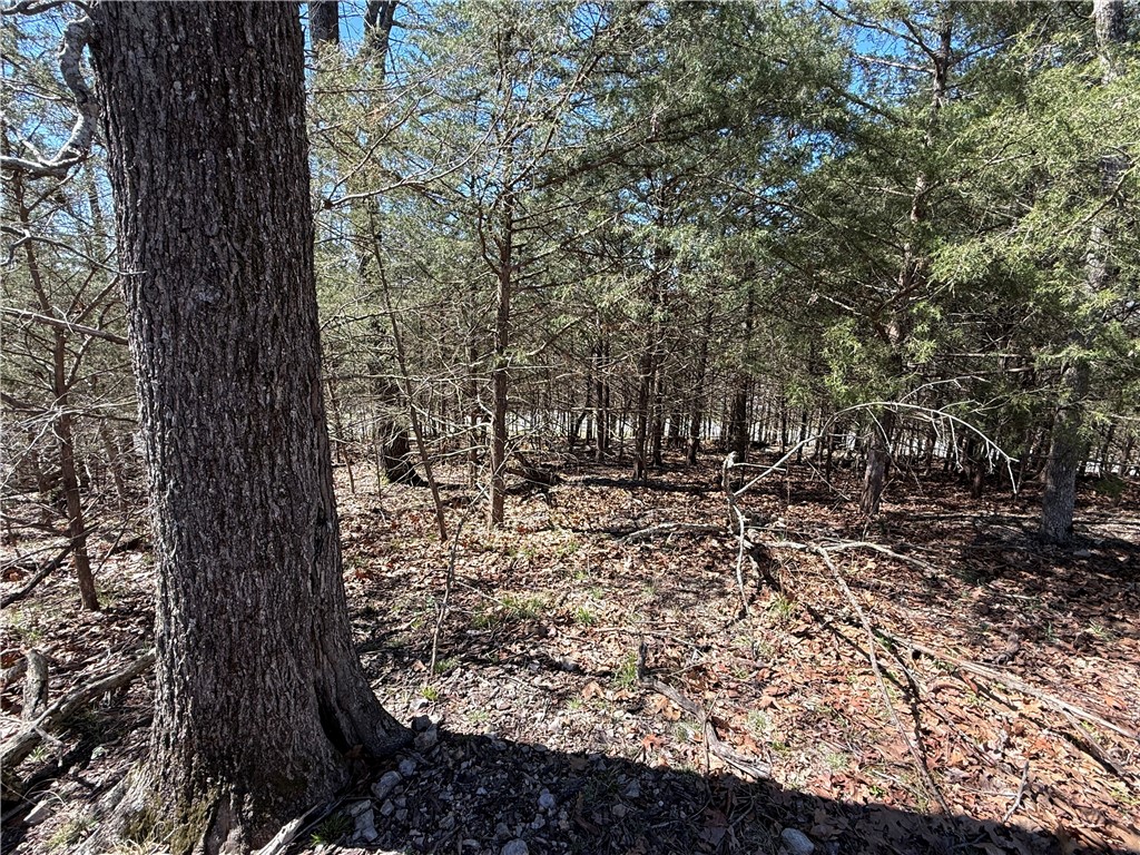 Unit 119 Holiday Island - Land