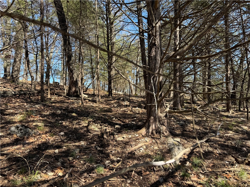 Unit 119 Holiday Island - Land