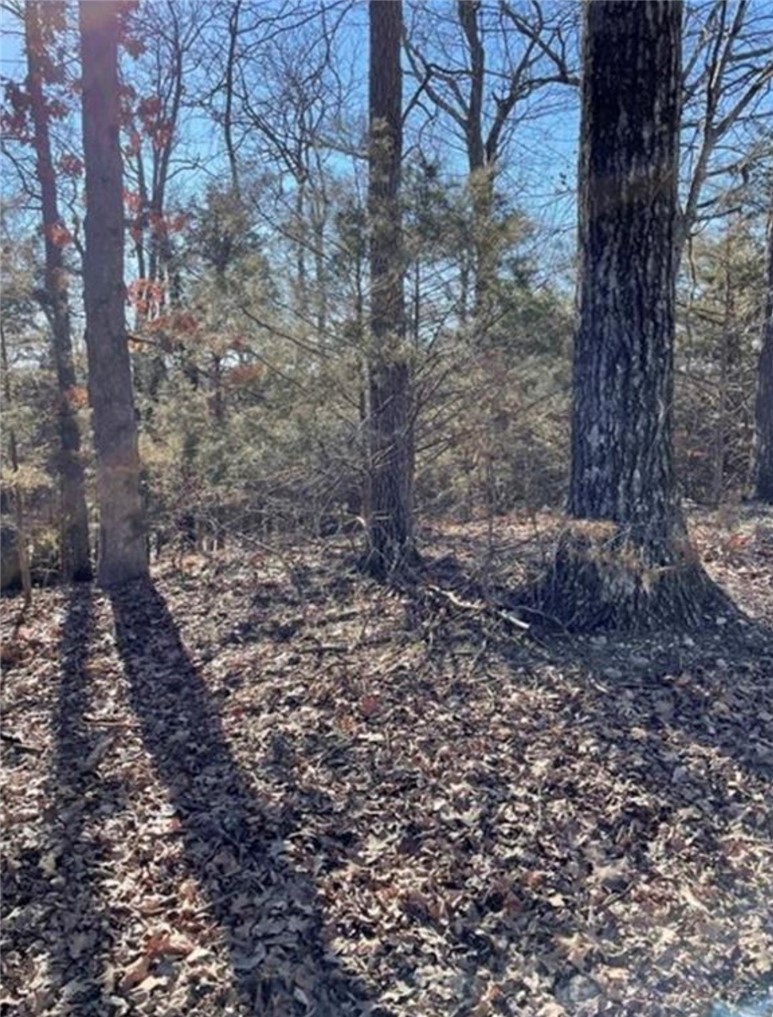 Unit 119 Holiday Island - Land