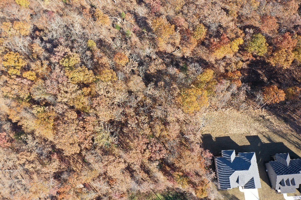 Croydon Sub Bvv - Land