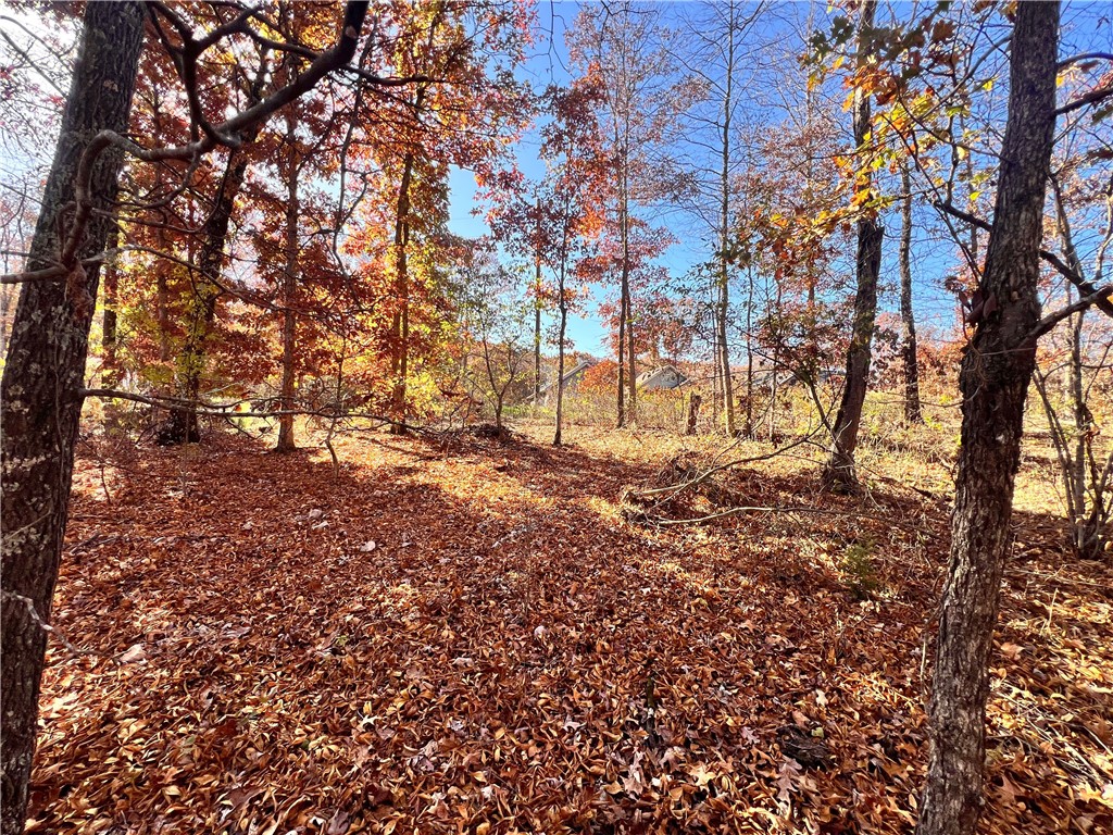 Croydon Sub Bvv - Land