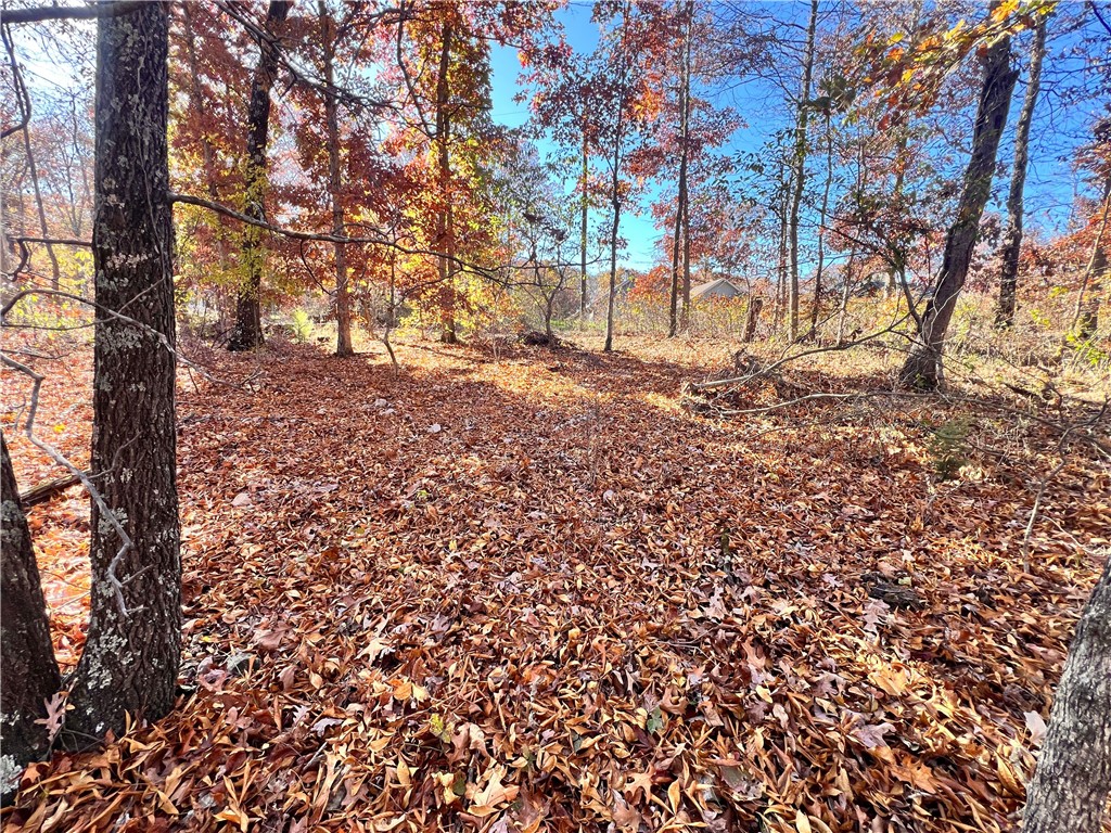 Croydon Sub Bvv - Land