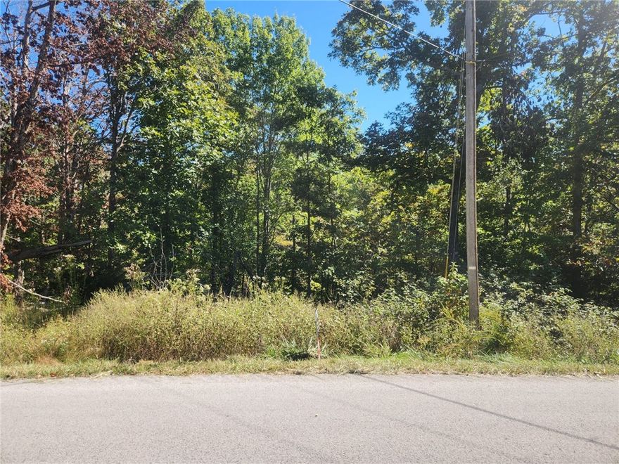 Beautiful lot ready to build. Highlands.  The Pinned location in MLS is accurate.