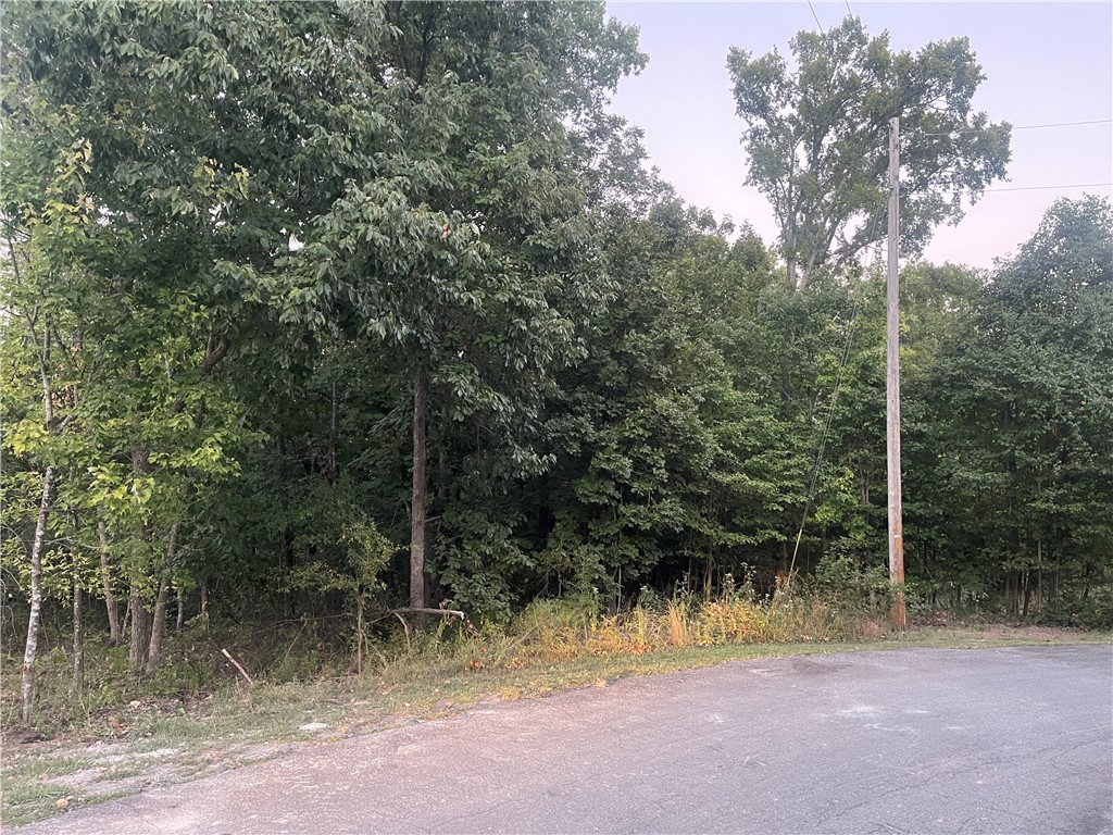This .45-acre lot in Bella Vista is the perfect spot to build your dream home! This lot is nestled between two homes, one of which is currently under construction, in a peaceful cul-de-sac. Enjoy being just 0.9 miles from the Granton Park and Lake Loch Lomond Boat Launch as well as a quick 9-minute drive away from the Scottsdale Golf Course clubhouse, putting a world of outdoor adventures right at your doorstep.