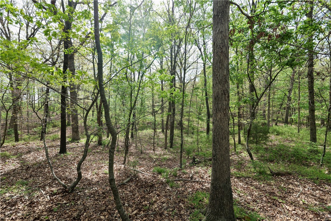 Ozark Estates - Land