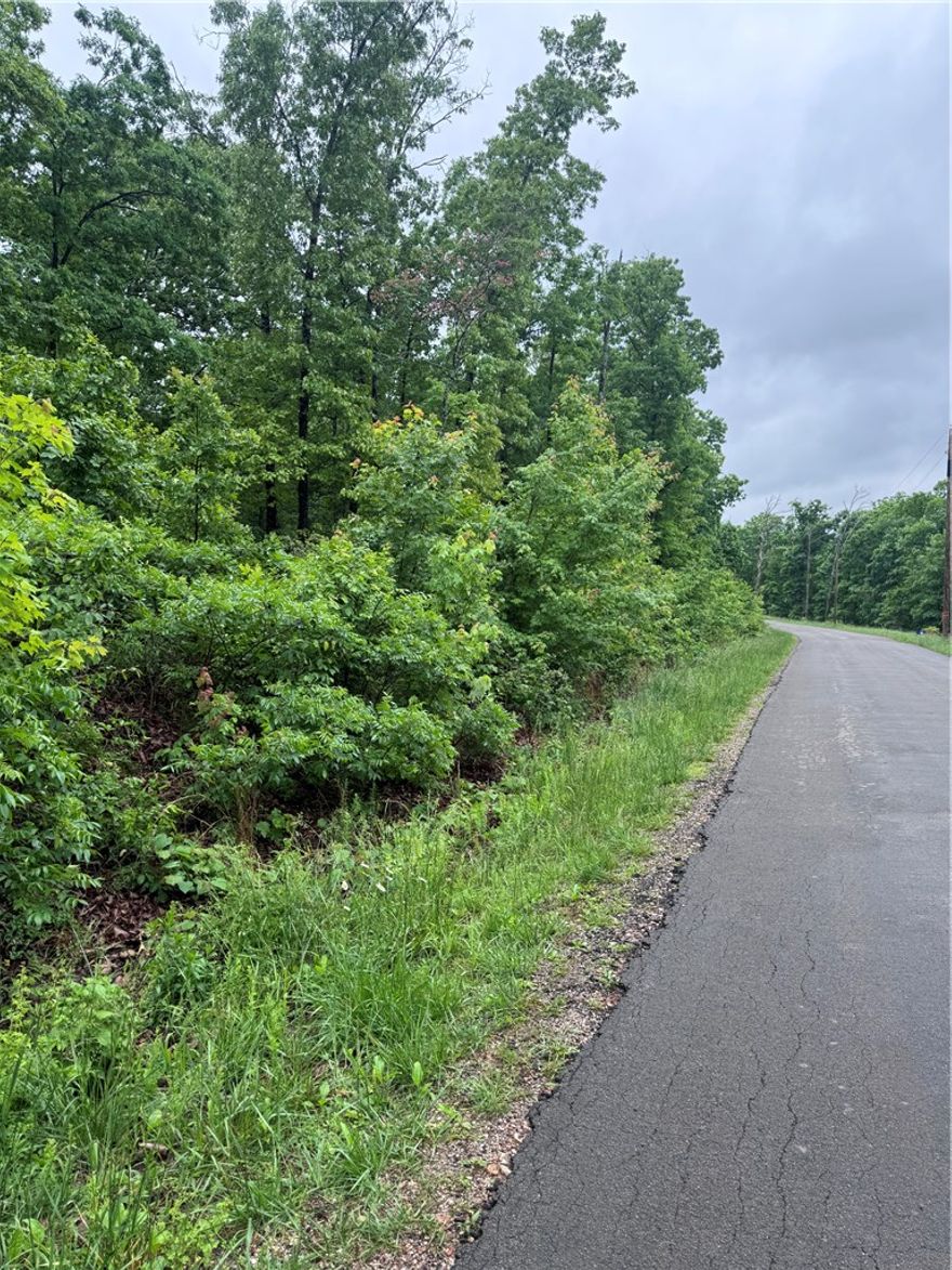 Build your dream home on this beautiful 0.31-acre lot in the heart of Bella Vista! Enjoy the perfect setting for a custom home surrounded by nature while still being close to all the incredible Bella Vista amenities. Spend your days exploring scenic trails, golf courses, lakes, biking paths, parks, and more. Whether you’re looking for a peaceful retreat or an active lifestyle, this property offers the best of both worlds in one of Northwest Arkansas’ most desirable communities.