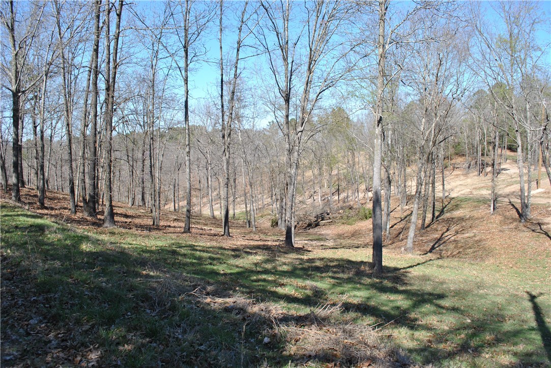 Tanglewood Resort 2 Rurban - Land