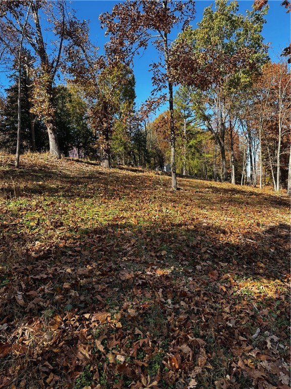 Tanglewood Resort 2 Rurban - Land