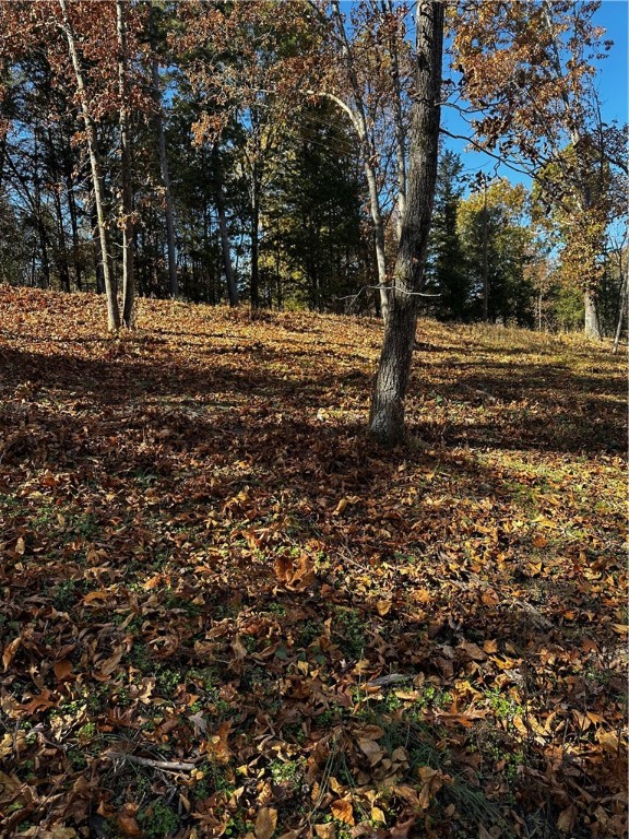 Tanglewood Resort 2 Rurban - Land