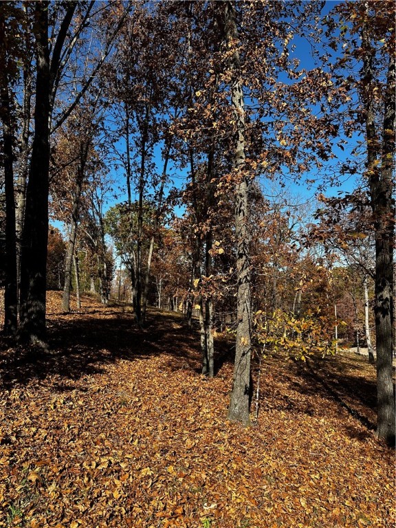 Tanglewood Resort 2 Rurban - Land