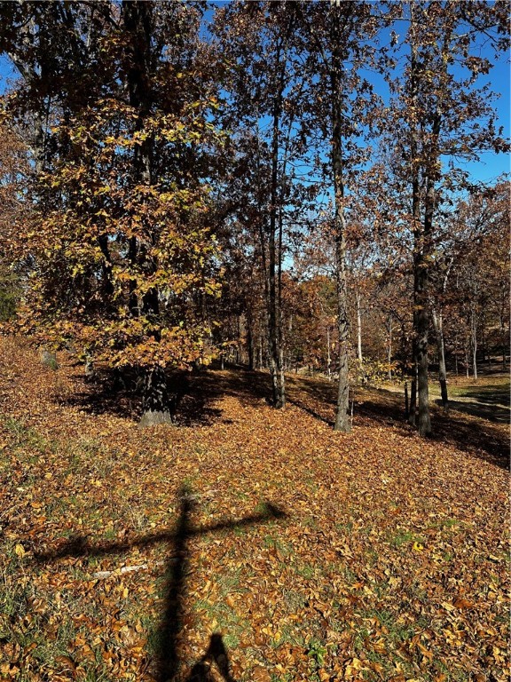 Tanglewood Resort 2 Rurban - Land