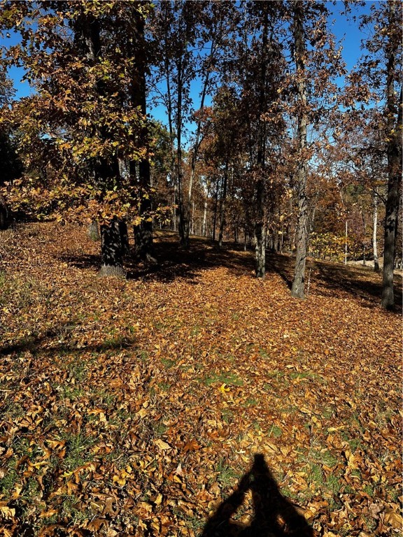 Tanglewood Resort 2 Rurban - Land