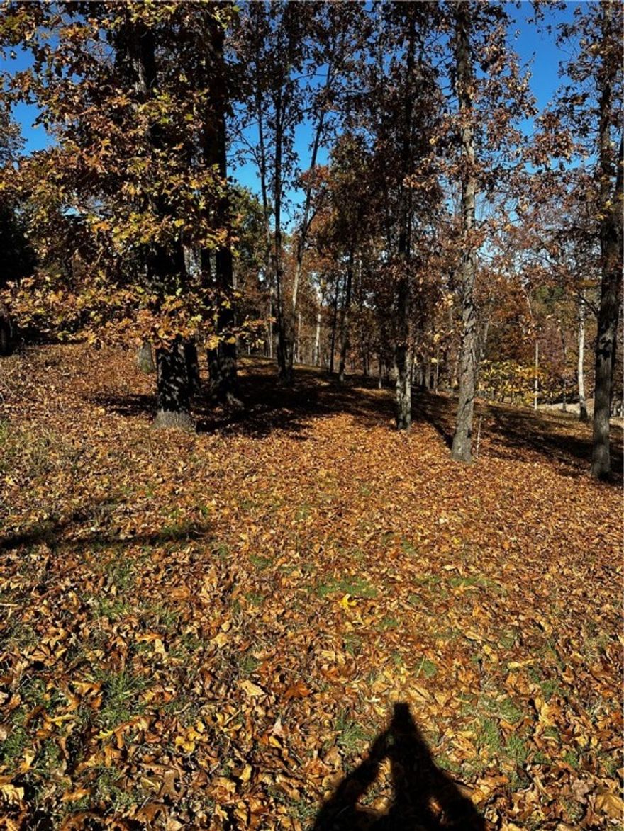 New survey April 2024 ! Build your lake area cabin on this wooded lot in the Rocky Branch Resort area. About a mile and a half from public boat launch at Rocky Branch State Park and Marina. Nearby Hobbs State Park hiking and biking trails, War Eagle Mill and Caverns. Electricity runs along East Robin Road Benton County Water Authority #5 municipal water at Rocky Branch Road.  Taxes shown are for the entire parcel. Additional contiguous lots available.