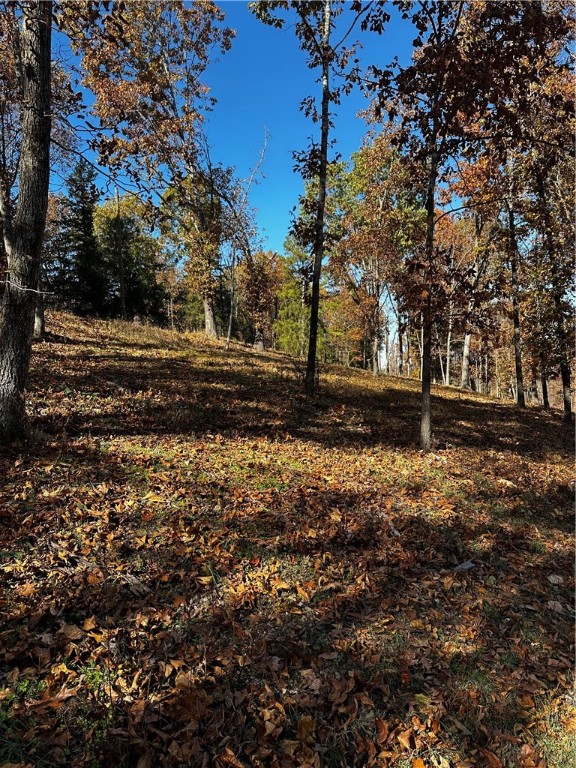 Tanglewood Resort 2 Rurban - Land